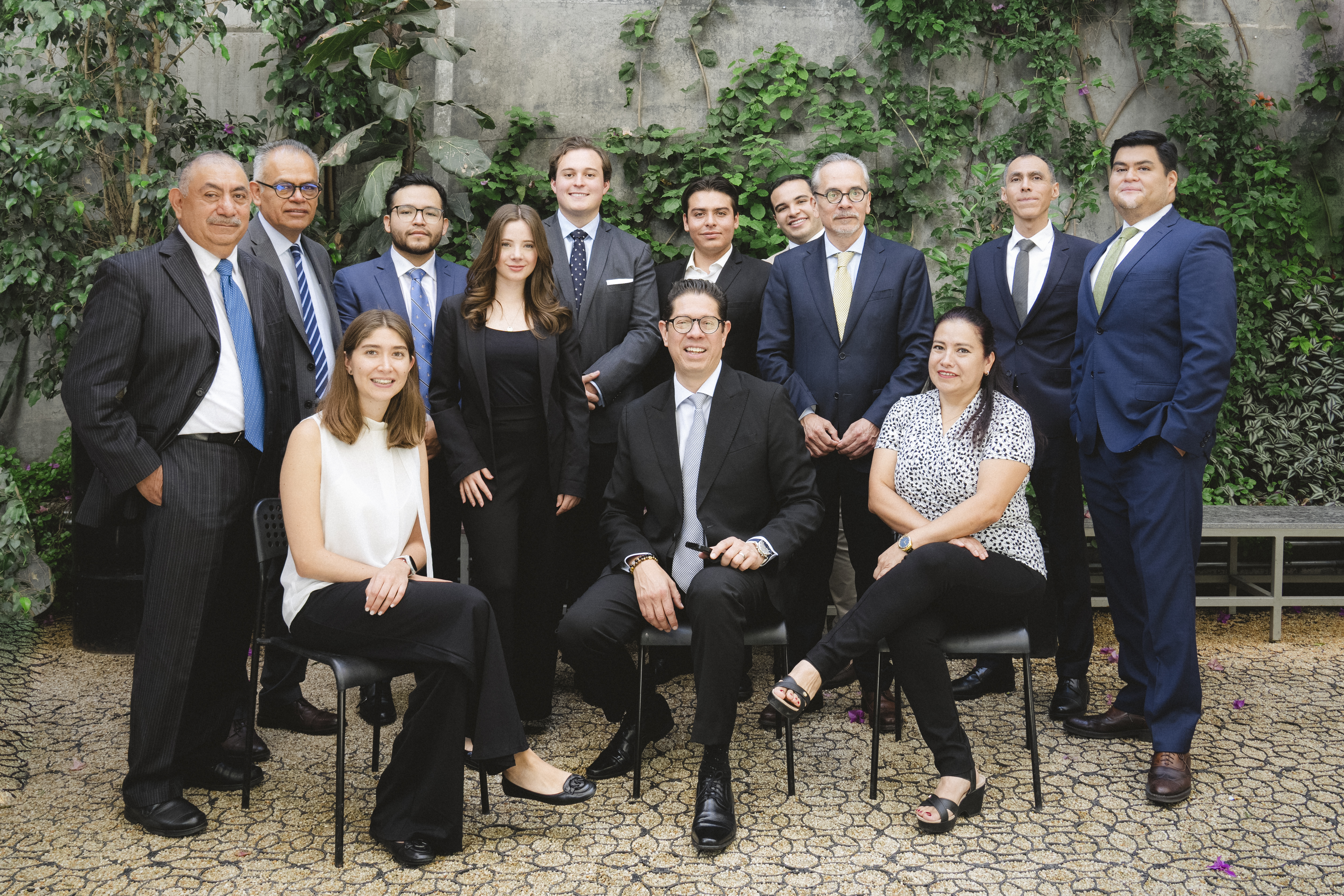 Equipo Ansley Consultores