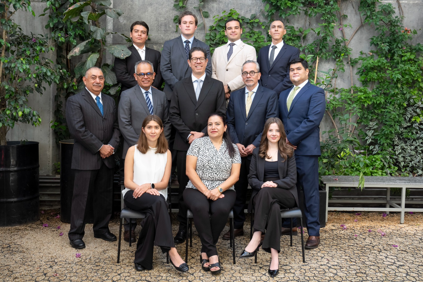 Equipo Ansley Consultores